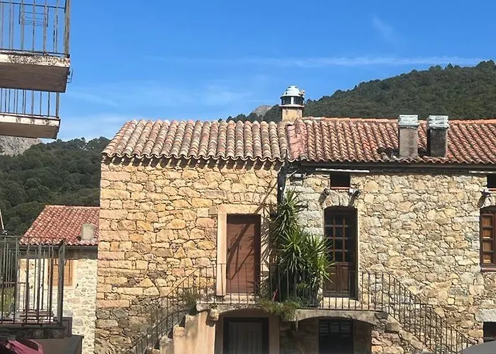 A Coletta